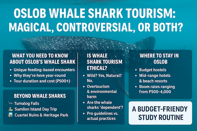 Oslob Whale Shark Tourism: Magical, Controversial, or Both?
